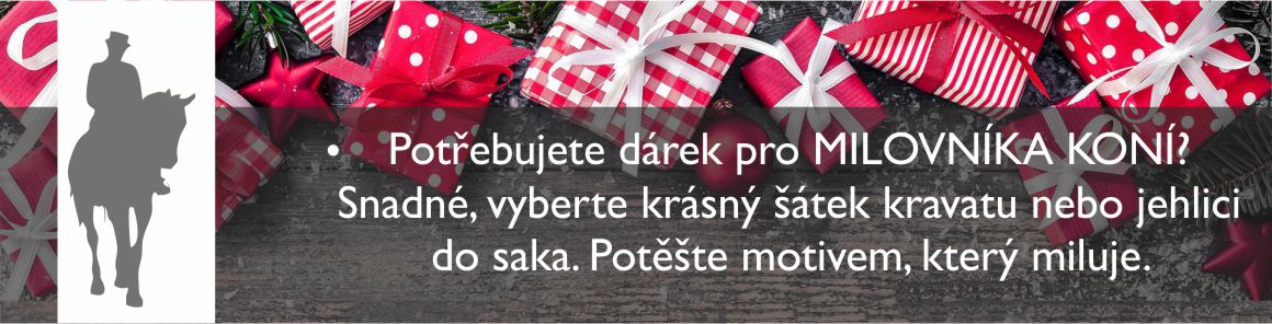 carousel_dárky_jezdec